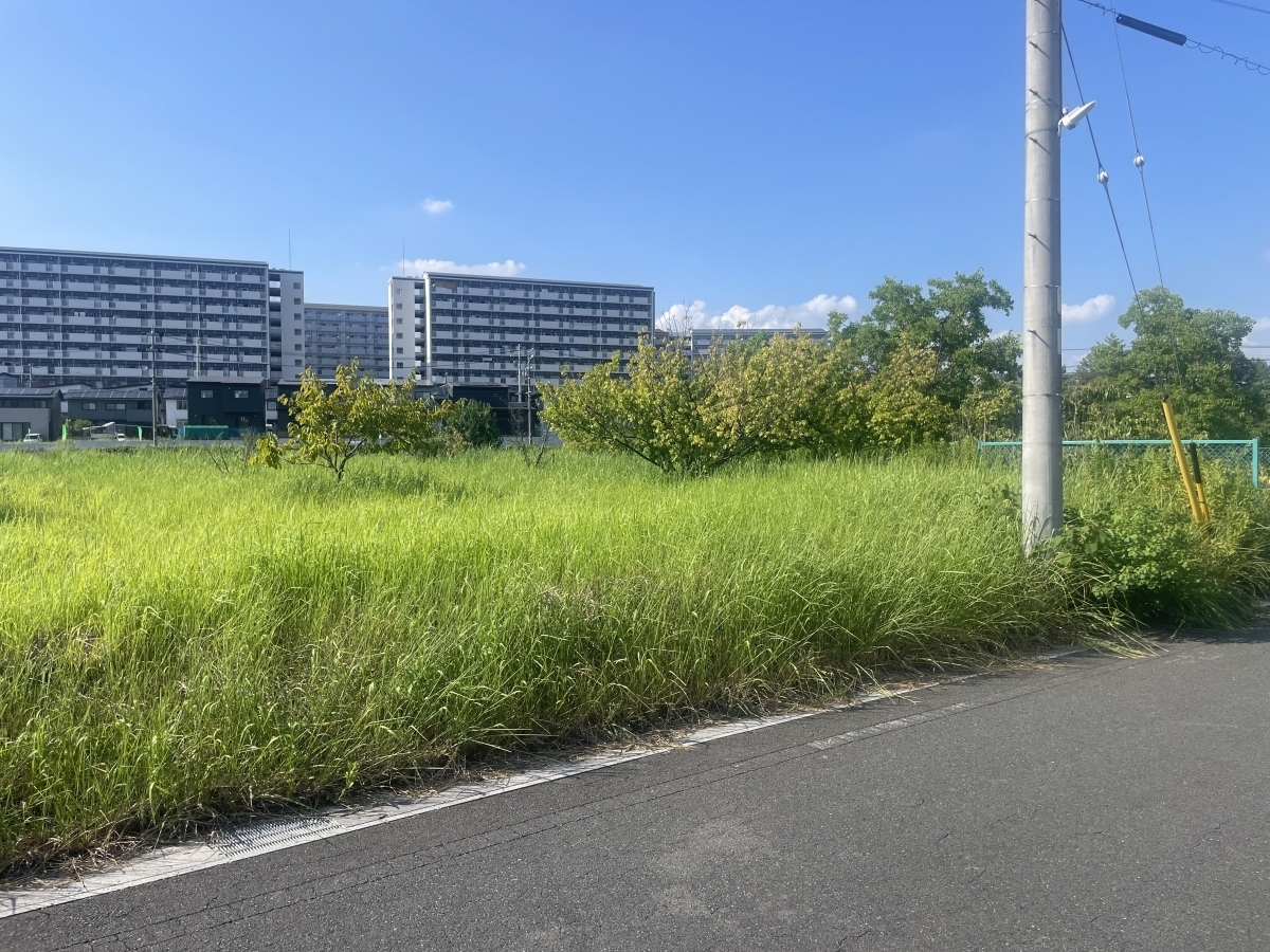 売地　東浦町石浜南ヶ丘【Ｂ区画】